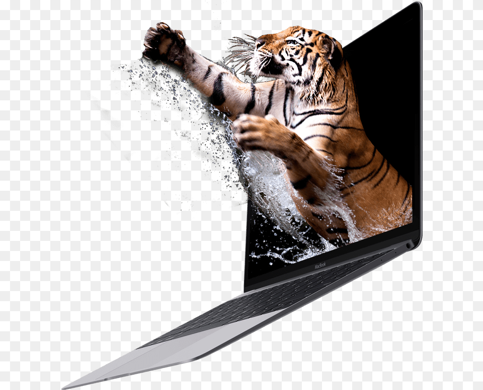 Jumping Tiger Bengal Tiger, Animal, Pc, Mammal, Laptop Free Transparent Png