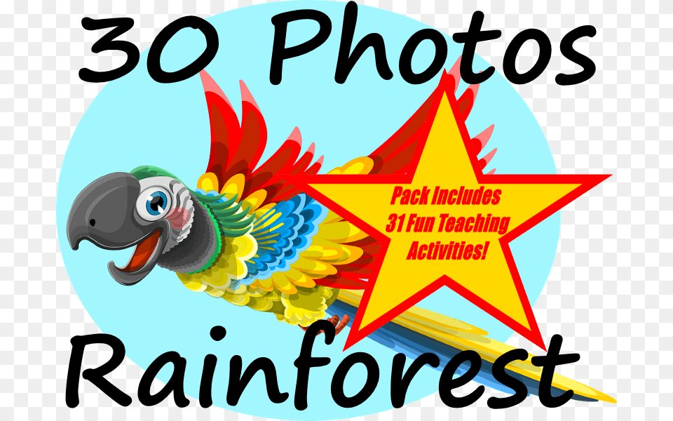 Transparent Jungle Border Cartoon, Animal, Bird, Parrot Free Png Download