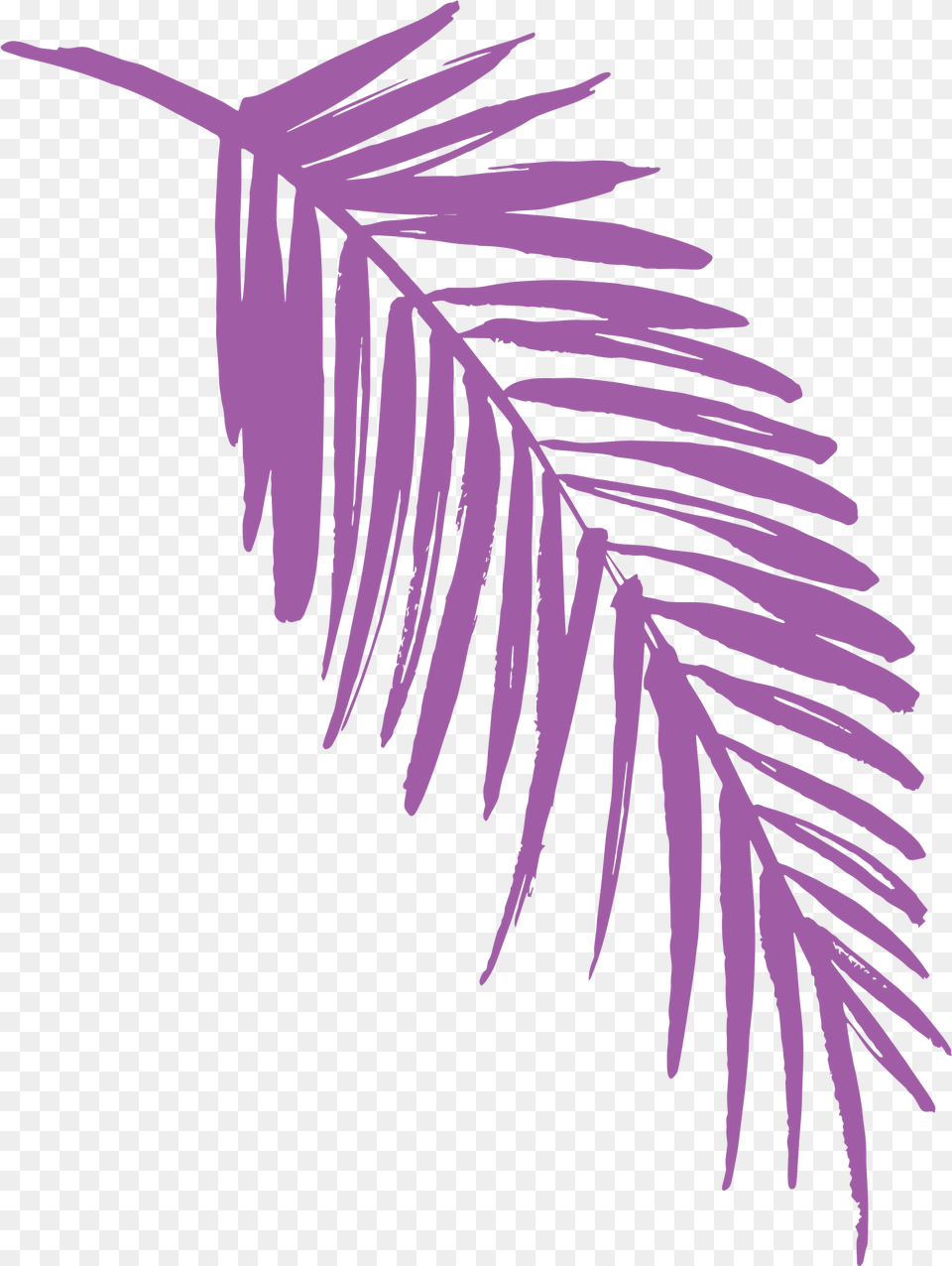 Jungle Leaf Jungle Leaf Clip Art, Plant, Tree, Palm Tree, Fern Free Transparent Png