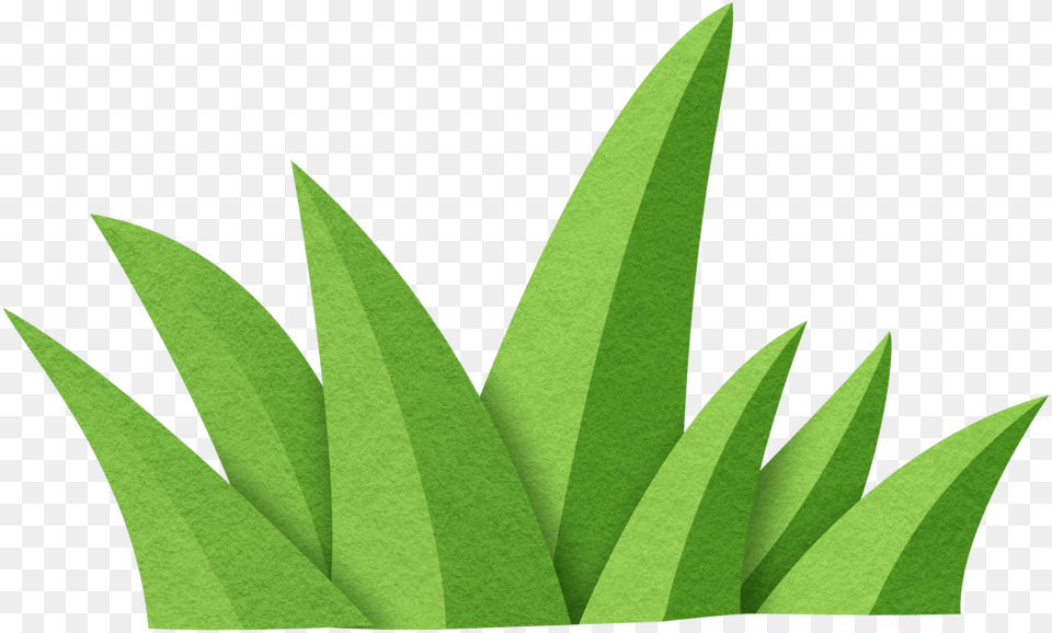 Transparent Jungle Plant Clipart Sabal Minor, Grass, Green, Leaf, Art Png Image