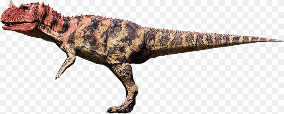 Transparent Jurassic World Dinosaurs Ceratosaurus Jurassic World Evolution, Animal, Dinosaur, Reptile, T-rex Png