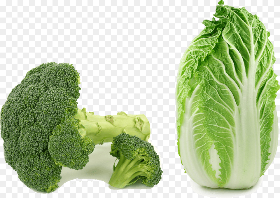 Transparent Kale Clipart Chinese Cabbage, Food, Produce, Leafy Green Vegetable, Plant Free Png Download