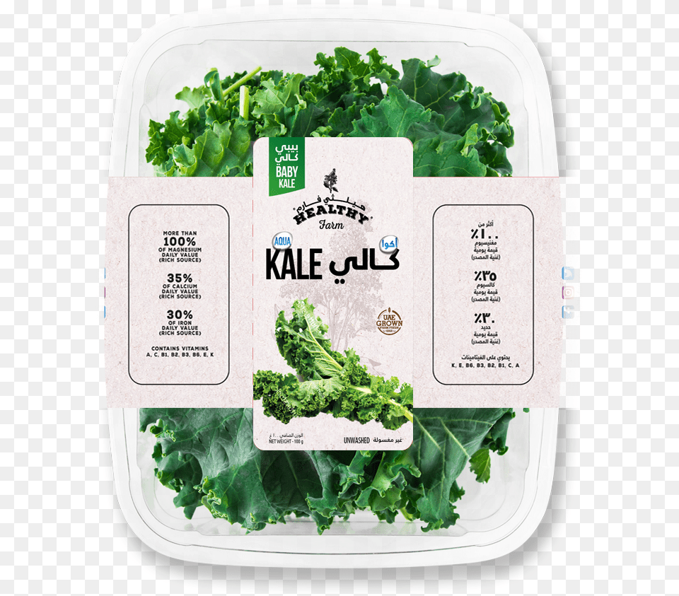 Transparent Kale Spinach, Food, Leafy Green Vegetable, Plant, Produce Png Image