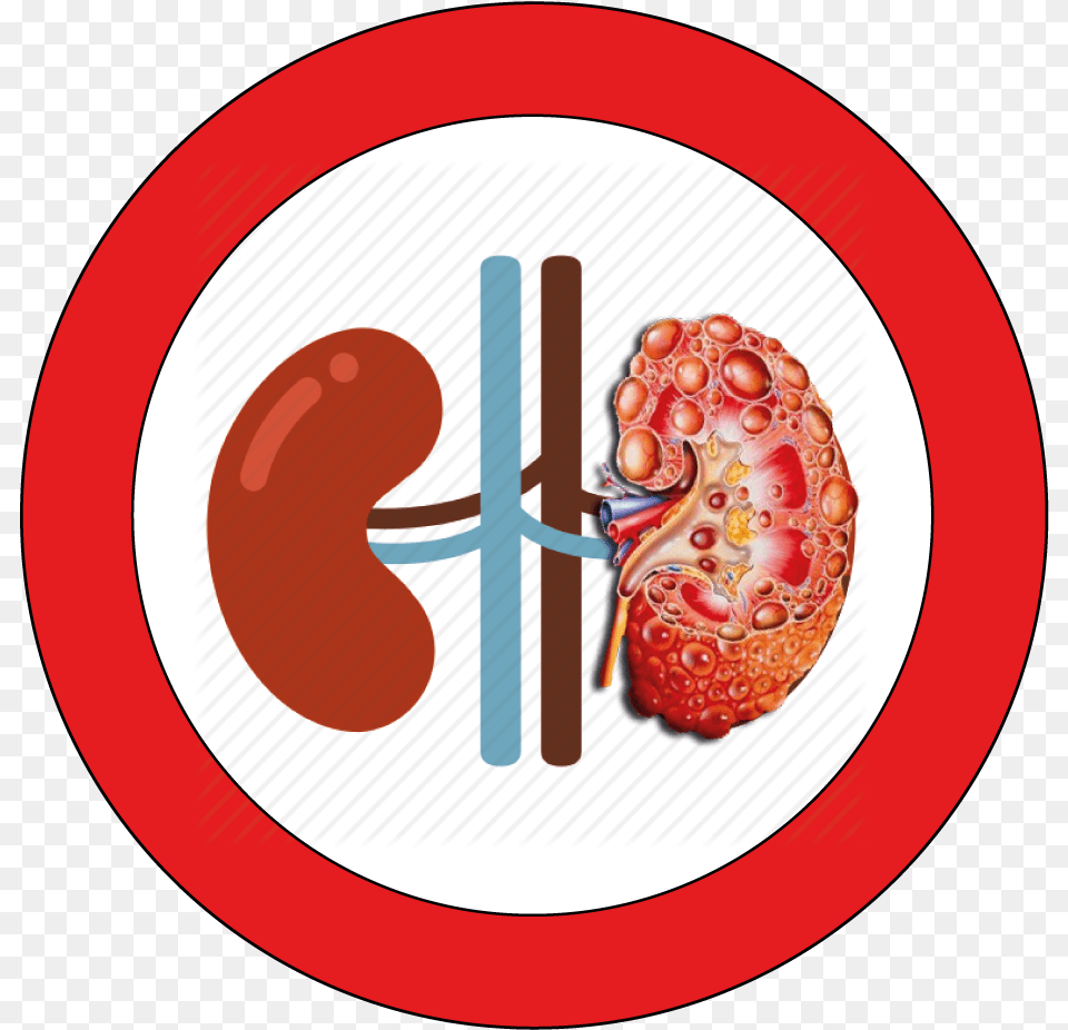 Transparent Kidneys Clipart Bottled Water Day, Berry, Food, Fruit, Plant Png Image