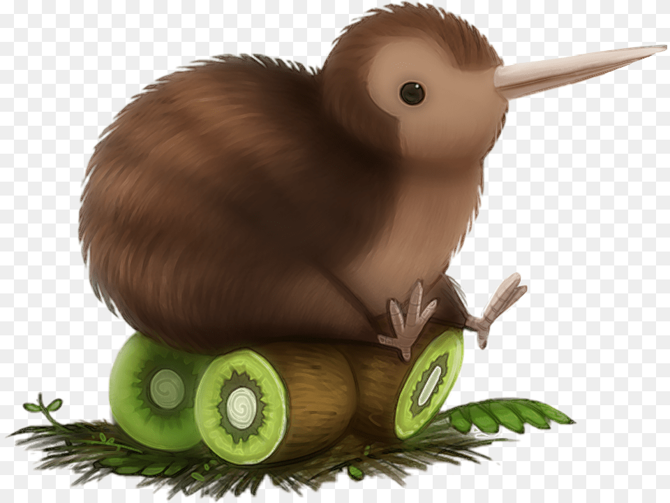 Transparent Kiwi Bird Cute Cartoon Kiwi Bird, Animal, Kiwi Bird Free Png Download