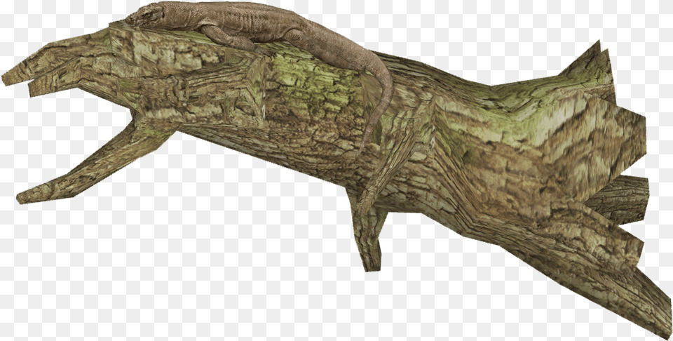 Transparent Komodo Dragon Alligator Lizard, Animal, Reptile, Wood, Gecko Free Png