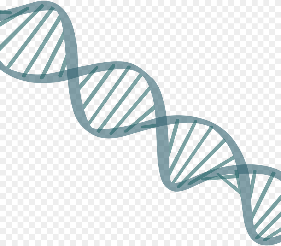 Transparent Korean Dna Strand Transparent Background, Coil, Spiral, Architecture, Staircase Png