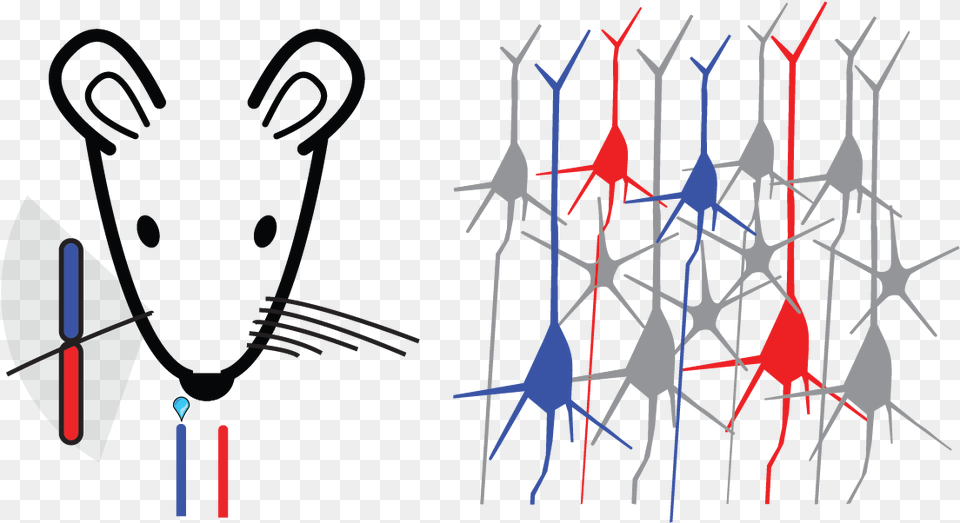 Transparent Lab Rat, Cutlery, Fork, Art, Modern Art Free Png