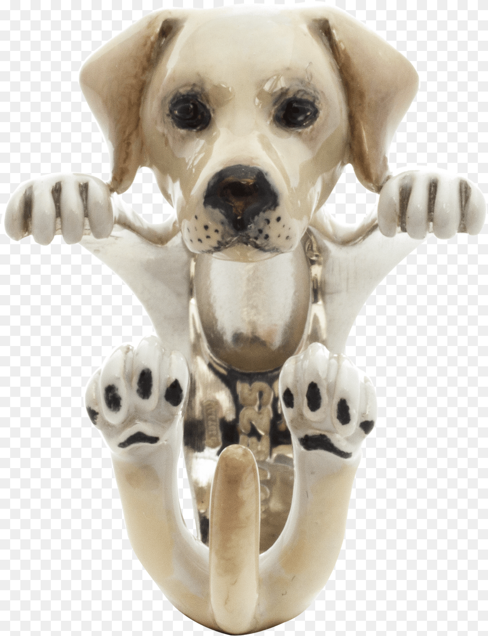 Transparent Labrador Dog Fever Anello Labrador, Animal, Canine, Mammal, Pet Free Png Download