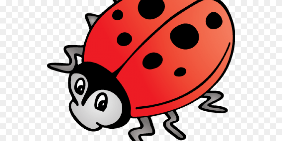 Transparent Ladybug Clipart The Grouchy Ladybug, Animal, Bear, Mammal, Wildlife Png Image