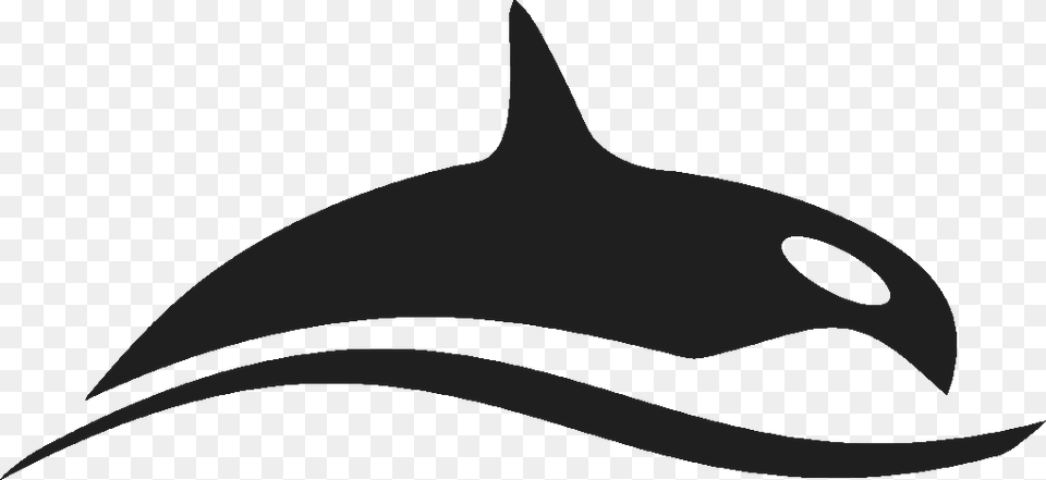 Transparent Lasso Clipart Black Orca Images High Resolution Bmp, Stencil, Animal, Sea Life, Fish Free Png