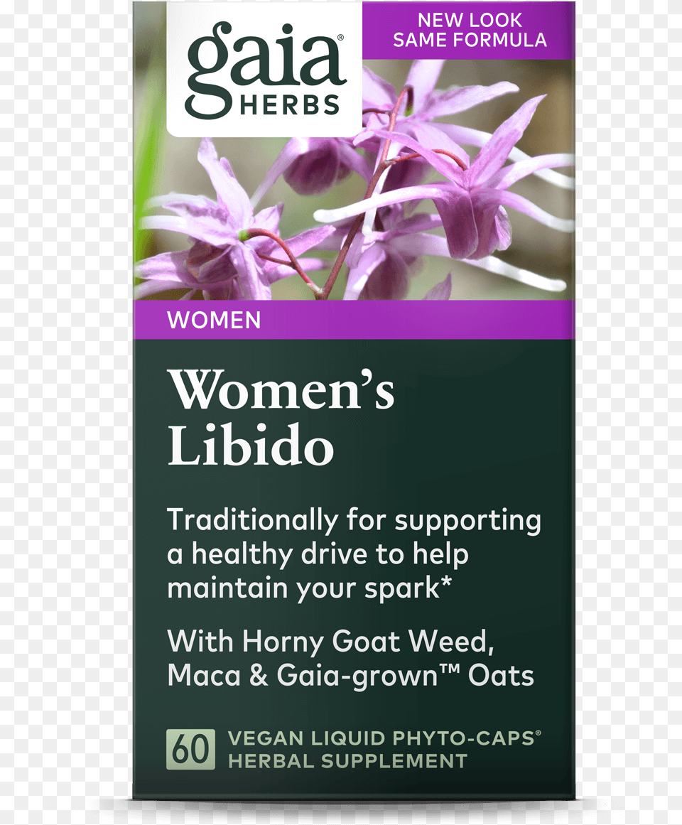 Transparent Lavender Bush Gaia Herbs, Advertisement, Poster, Flower, Plant Free Png Download