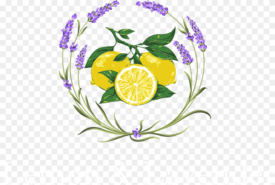 Transparent Lavender Clipart Lemon Drawing, Citrus Fruit, Food, Fruit, Plant Free Png Download