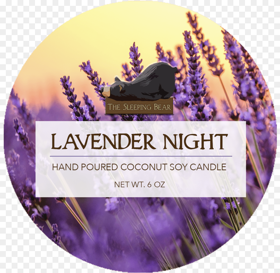 Transparent Lavender Plant, Flower, Purple, Disk, Dvd Png