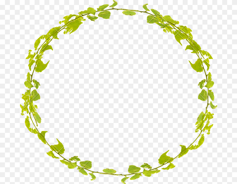 Transparent Leaf Borders, Green, Oval, Animal, Invertebrate Png