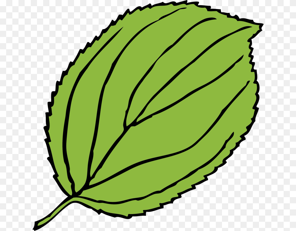 Leaf Clip Art Apple Tree Leaf Clipart, Plant, Herbal, Herbs, Mint Free Transparent Png