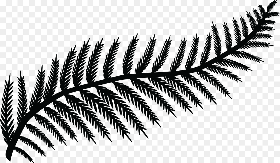 Transparent Leaf Clipart Black And White Fern Leaf Silhouette, Plant, Pattern, Accessories Png Image