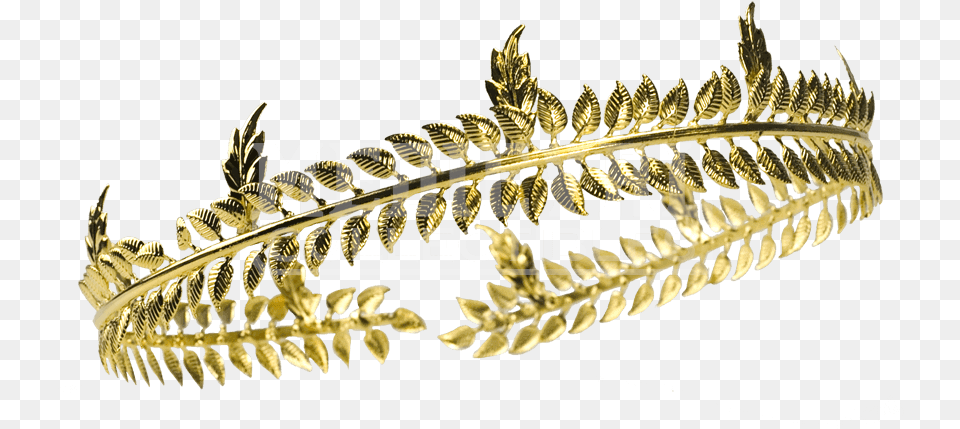 Transparent Leaf Crown Laurel Wreath Crown, Accessories, Jewelry, Plant Free Png