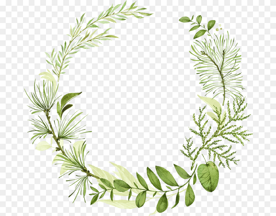 Transparent Leaf Wreath, Green, Herbal, Herbs, Plant Png