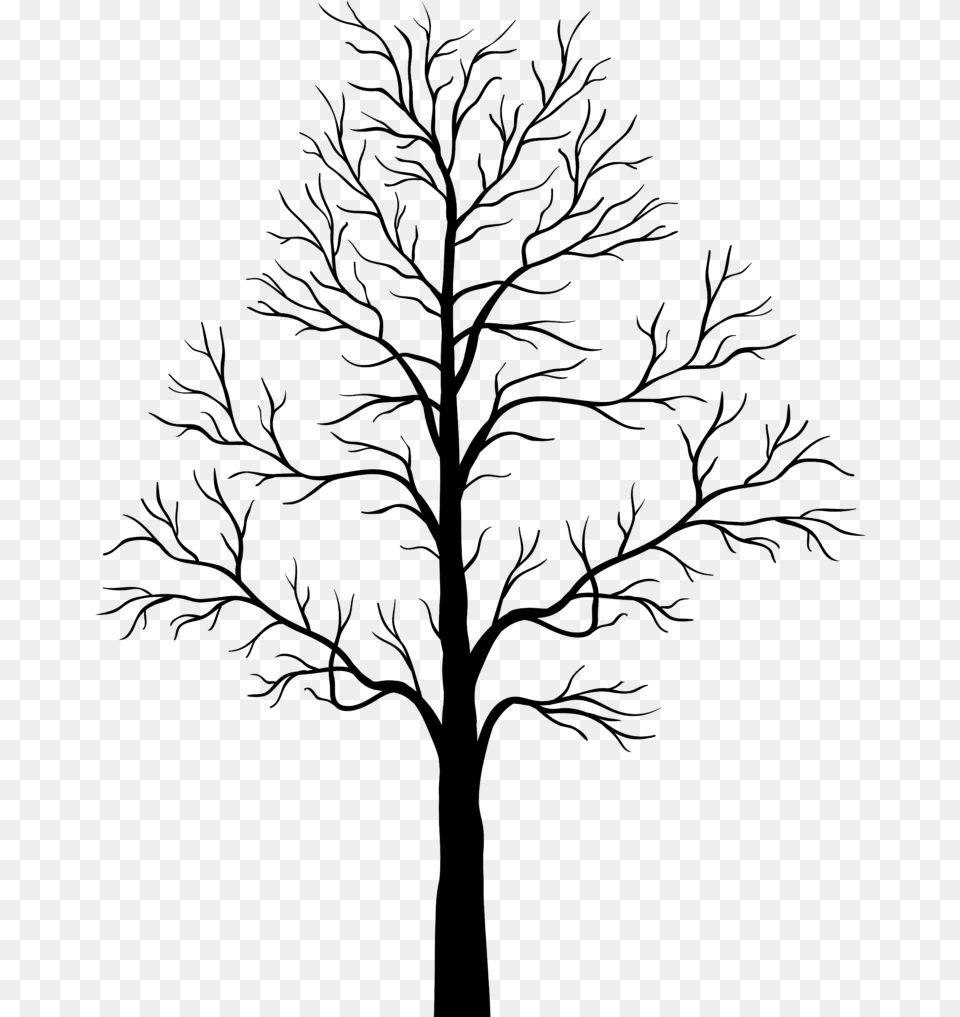 Transparent Leafless Tree Clipart Transparent Background Tree Silhouette, Gray Png Image