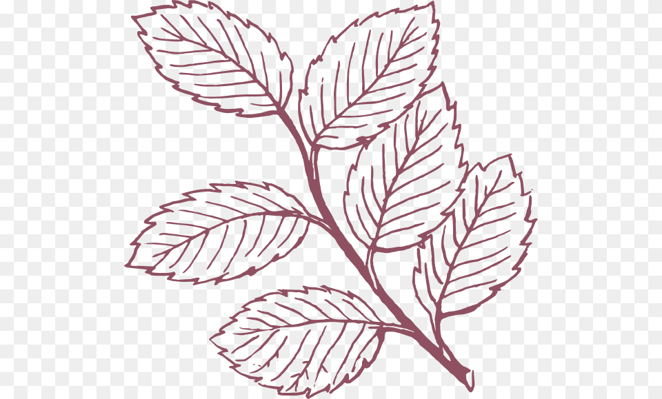 Transparent Leafy Leaves Clipart Black And White, Leaf, Plant, Art, Pattern Png Image