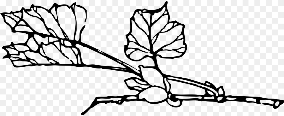 Transparent Leaves Black And White Clipart Cy En Trmh, Gray Free Png