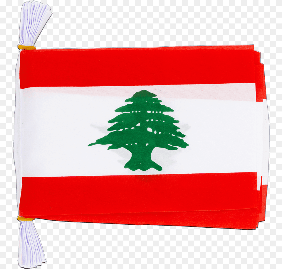 Lebanese Flag Clipart Lebanon Flag, Plant, Austria Flag Free Transparent Png
