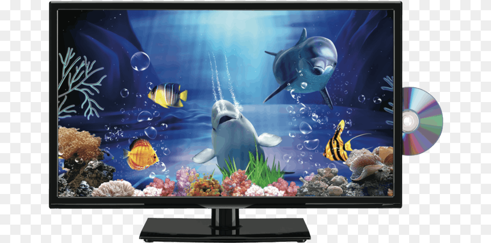 Transparent Led Tv Aquarium, Animal, Sea Life, Screen, Monitor Free Png Download