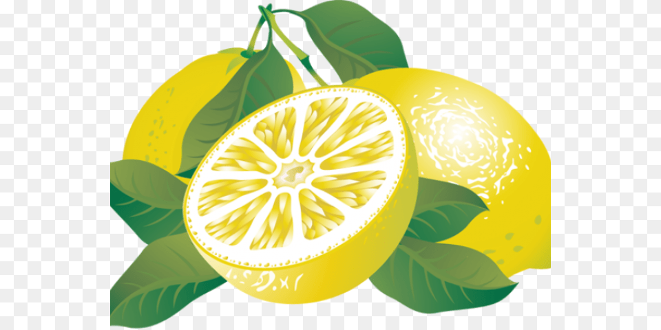 Transparent Lemon Clipart Lemon Clipart Transparent, Citrus Fruit, Food, Fruit, Plant Png