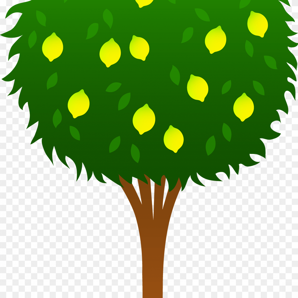 Transparent Lemon Clipart Lemon Tree Drawing Easy, Green, Sphere, Ball, Tennis Ball Png Image