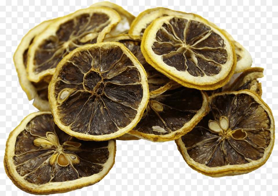 Transparent Lemon Fruit Sweet Lemon, Citrus Fruit, Food, Plant, Produce Png Image