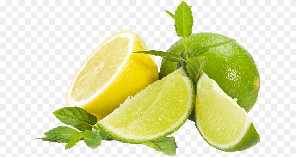 Transparent Lemon Slice Citron Vert Et Jaune, Citrus Fruit, Food, Fruit, Lime Png