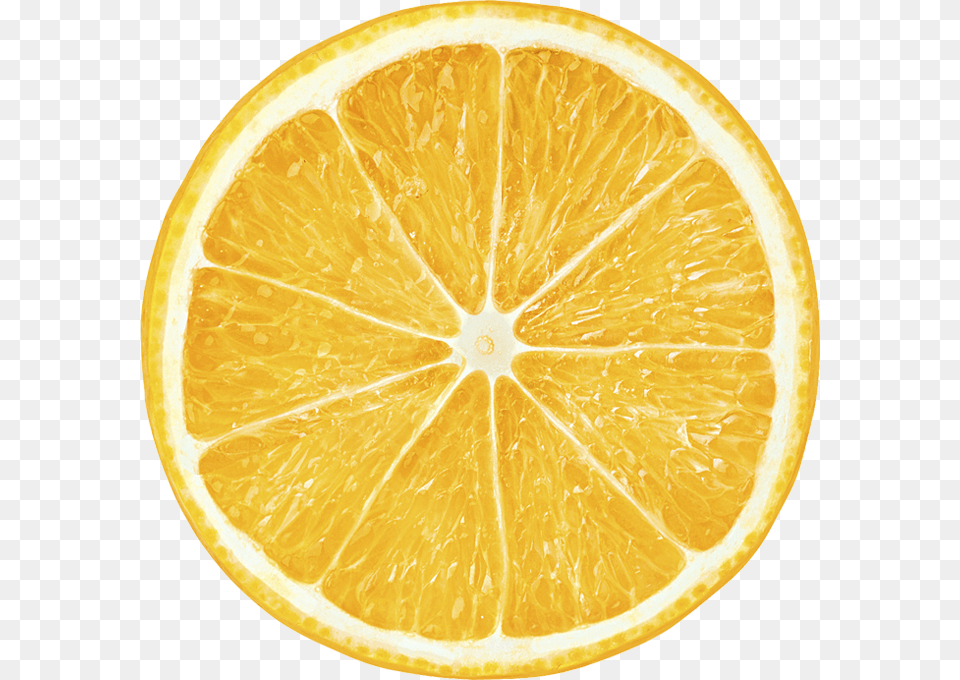 Transparent Lemon Slice Citrus Kartinki, Citrus Fruit, Food, Fruit, Orange Free Png Download