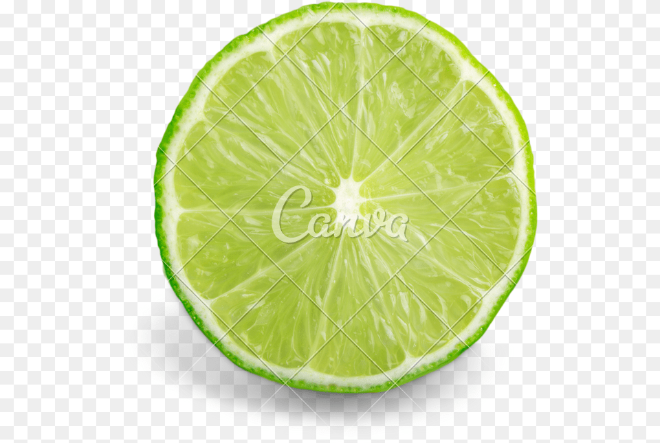 Transparent Lemon Slices Clipart Persian Lime, Citrus Fruit, Food, Fruit, Plant Free Png Download