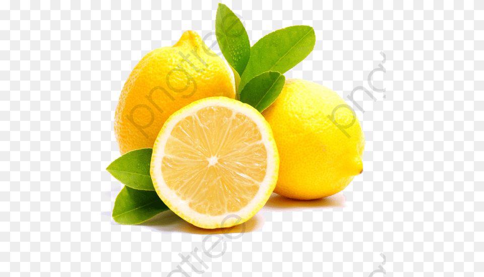 Transparent Lemons Clipart Lemon Sicily, Citrus Fruit, Food, Fruit, Orange Png