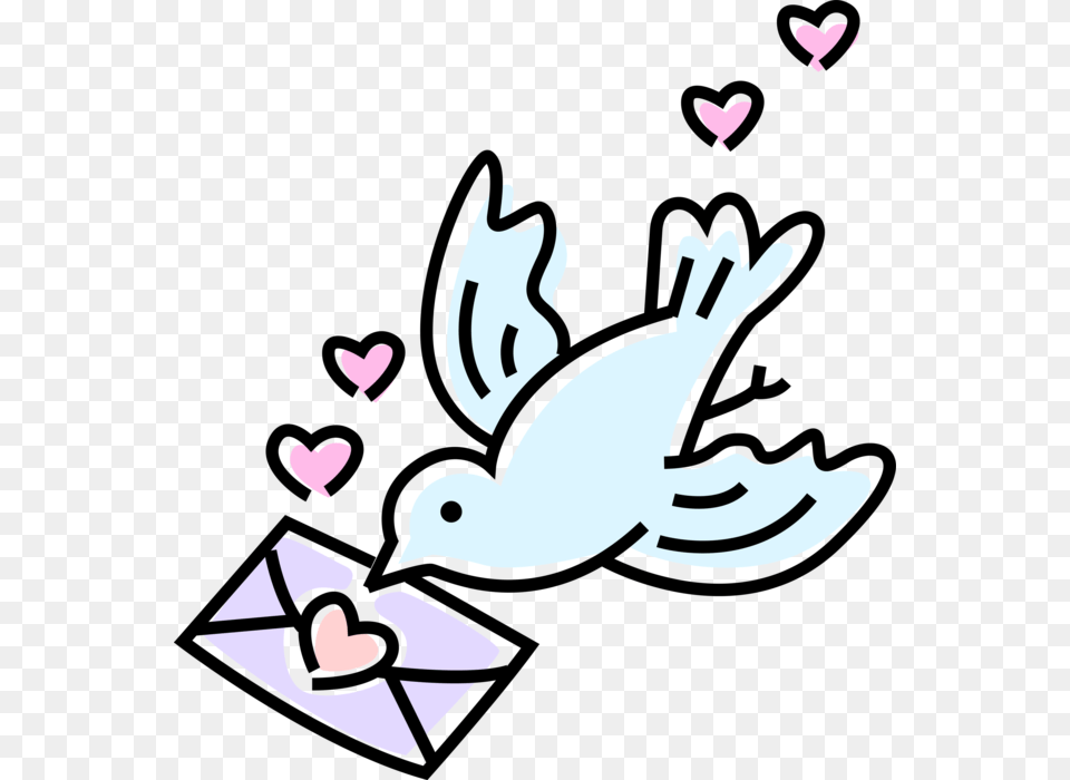 Transparent Letter Clipart Bird With Love Letter, Baby, Person Free Png