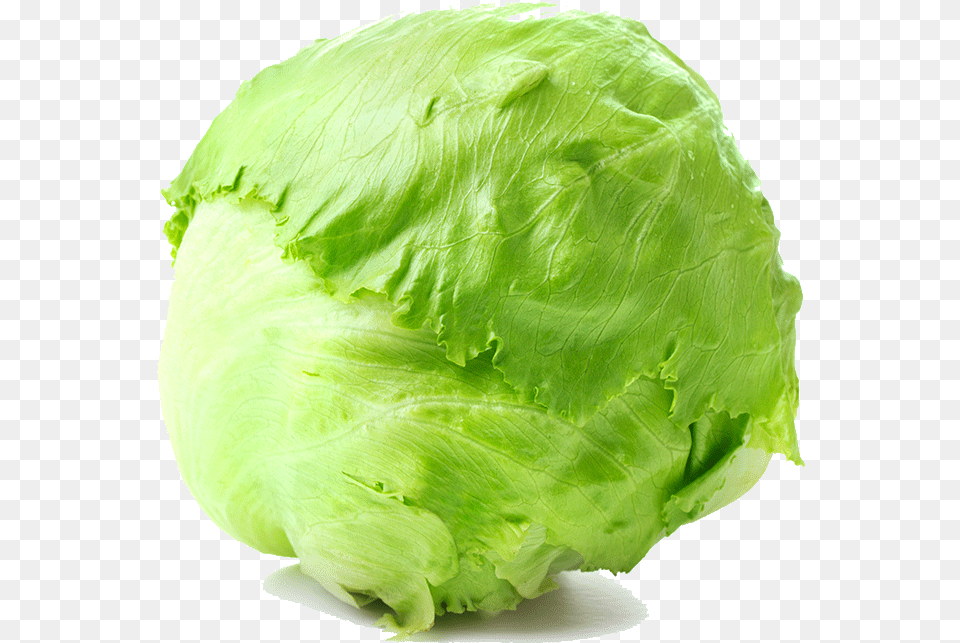 Transparent Lettuce Lechuga Repollada, Food, Plant, Produce, Leafy Green Vegetable Png Image
