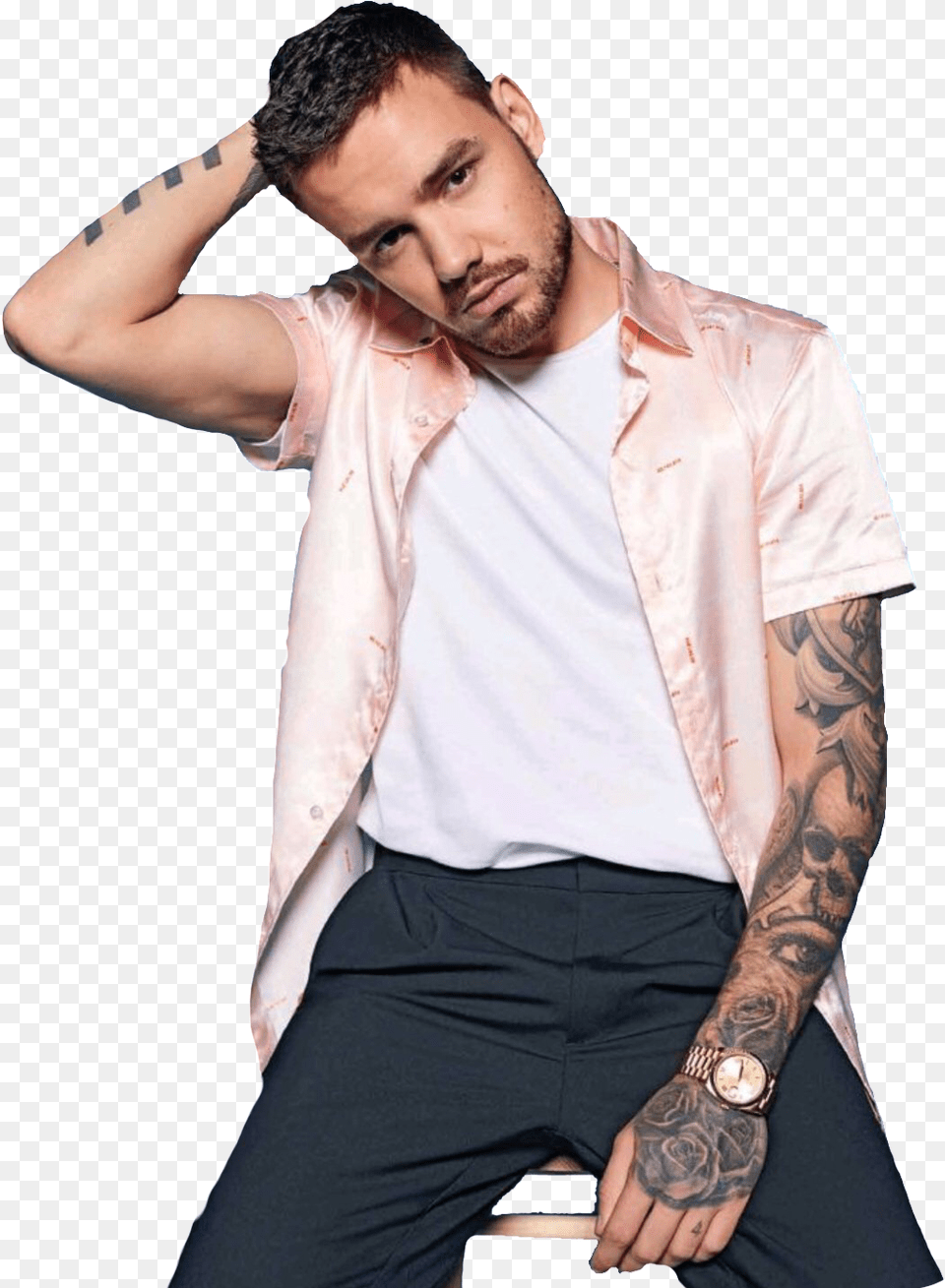 Transparent Liam Payne, Clothing, Sleeve, Adult, Skin Png