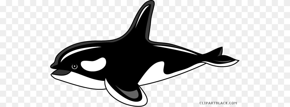 Library Clipartblack Com Animal Black Killer Whale Clipart, Sea Life, Fish, Shark, Mammal Free Transparent Png
