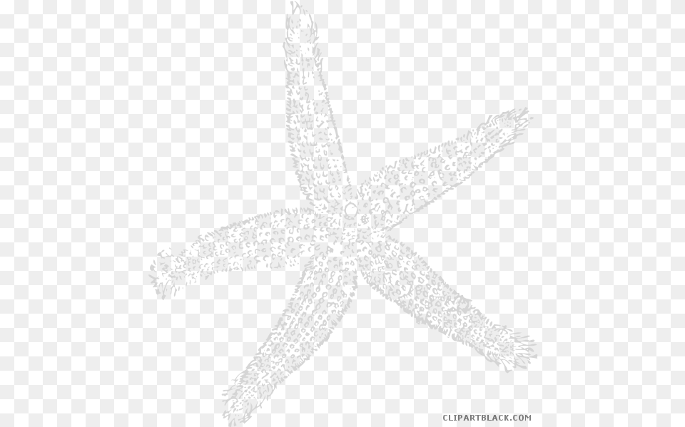 Library Star Fish Files Fish Clip Art, Animal, Sea Life, Invertebrate, Starfish Free Transparent Png