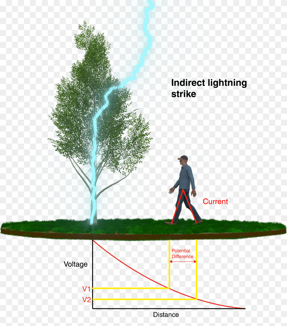 Lightning Strike Lightning Rod, Person, Grass, Walking, Plant Free Transparent Png