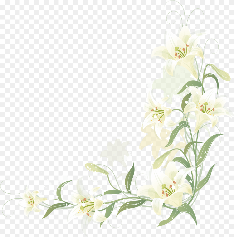 Lily Flower Border Lily Flower Border, Art, Floral Design, Graphics, Pattern Free Transparent Png