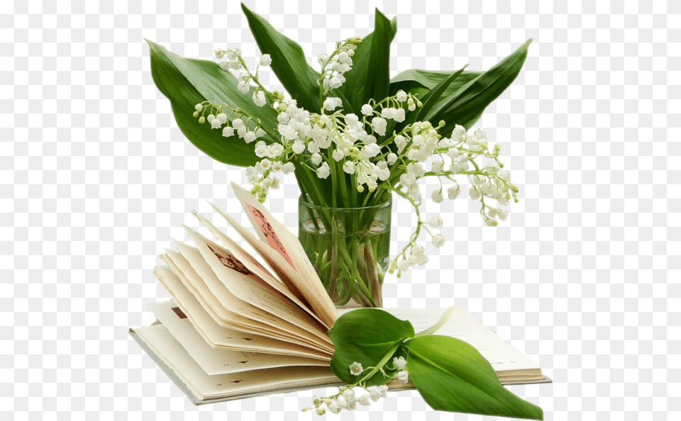 Transparent Lily Of The Valley Tubes 1er Mai, Plant, Flower, Flower Arrangement, Flower Bouquet Png
