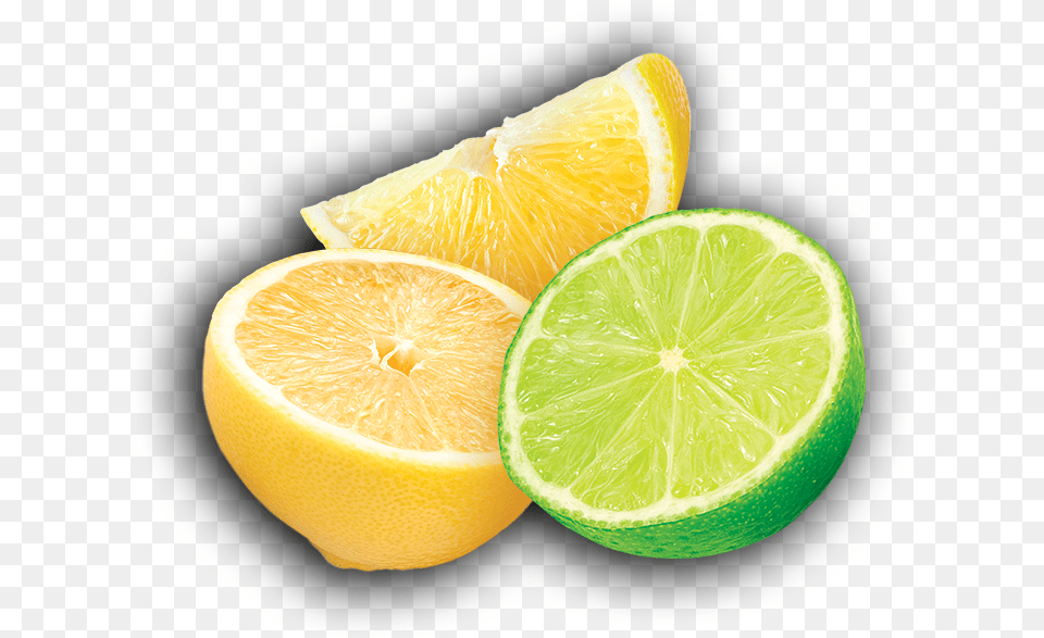 Transparent Lime Lemon Clipart Lemon And Lime, Citrus Fruit, Food, Fruit, Plant Free Png Download