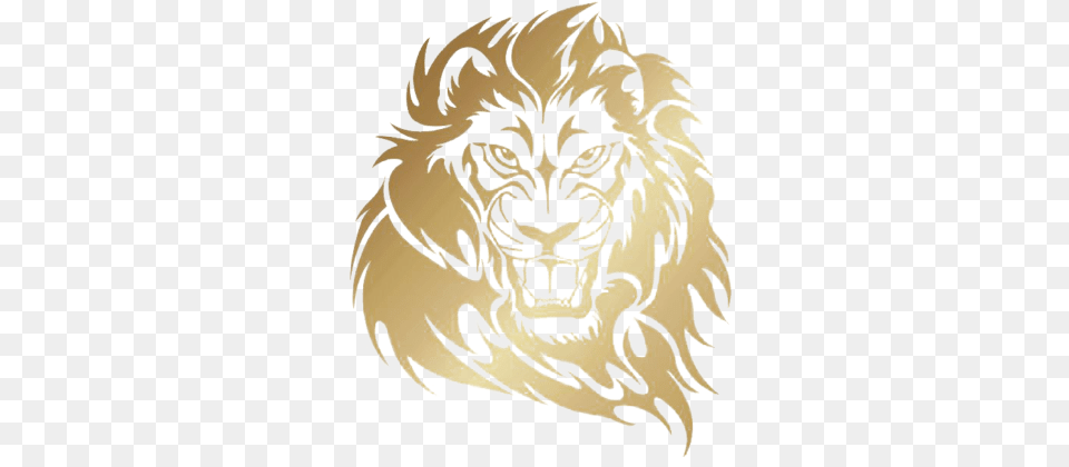 Transparent Lion Assis Lions Entertainment, Animal, Mammal, Wildlife, Baby Png Image