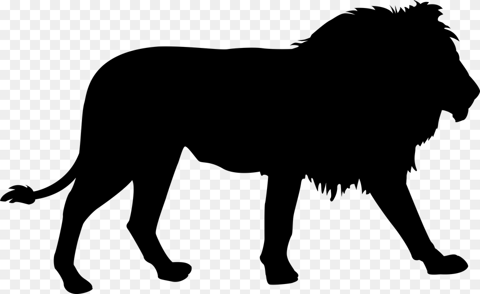 Transparent Lion Clipart Jungle Animal Silhouette Animals, Gray Png