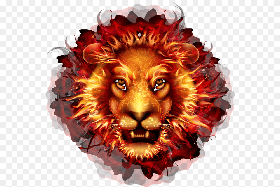 Transparent Lion Head Fire Lion, Wildlife, Pattern, Mammal, Animal Png