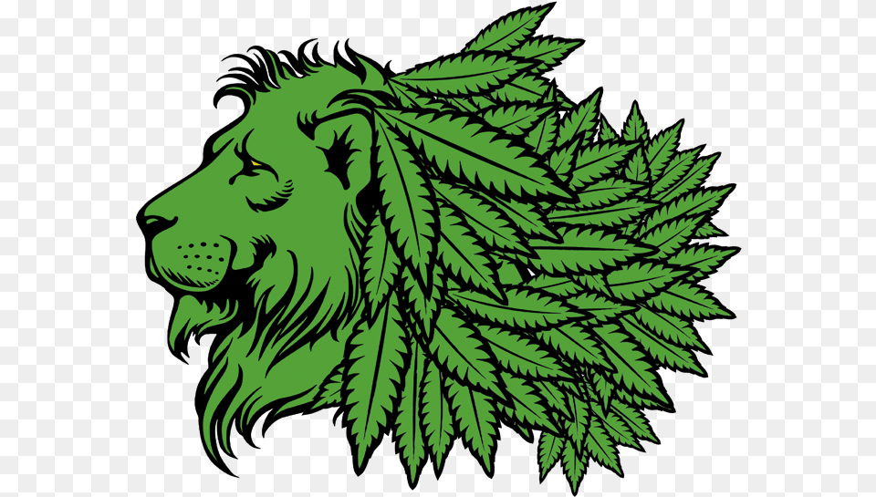 Transparent Lion Head Lion Head Clipart Green, Leaf, Plant, Tree, Face Png