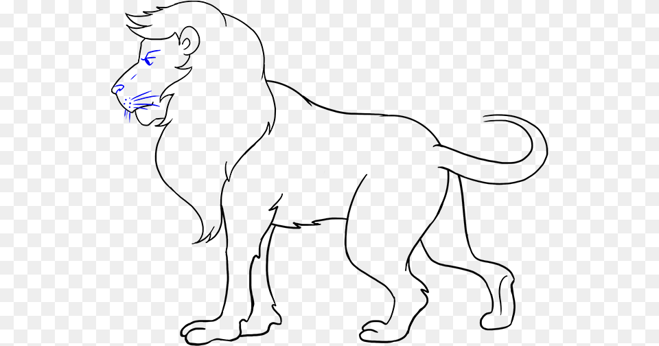 Transparent Lion Lion For Drawing, Art, Floral Design, Graphics, Pattern Free Png