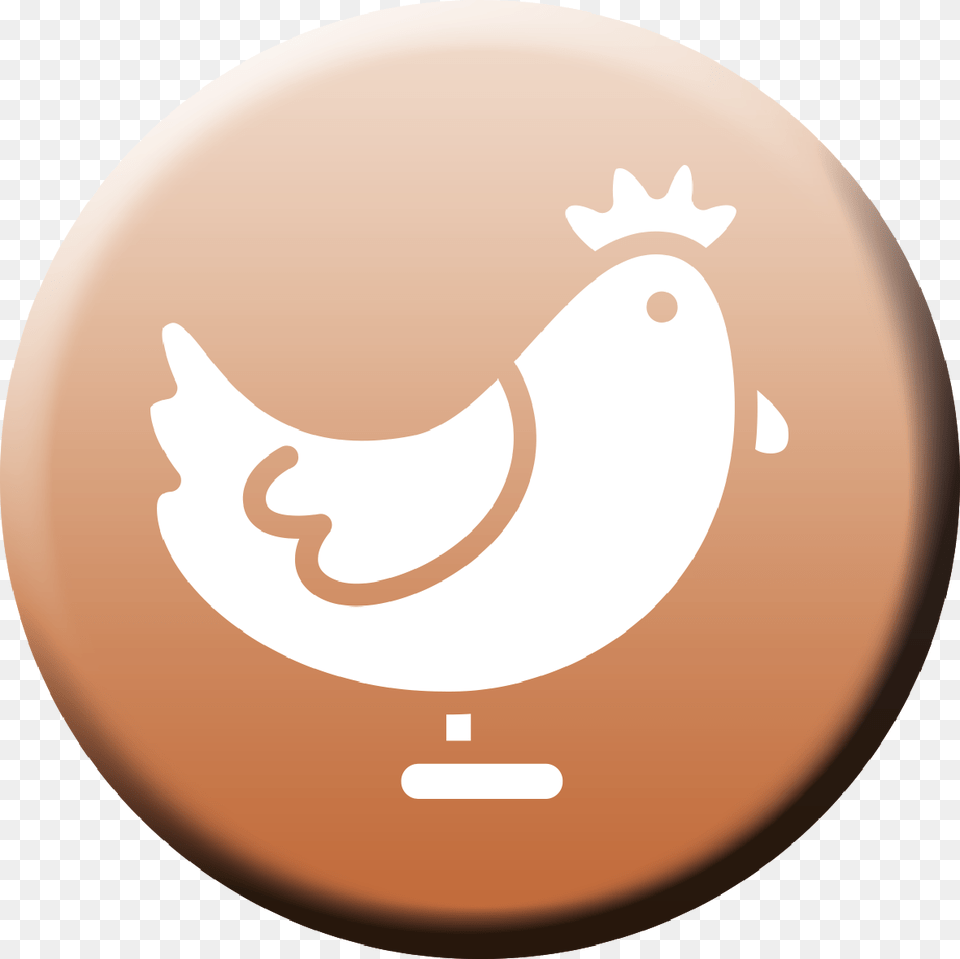 Live Chicken Illustration, Astronomy, Moon, Nature, Night Free Transparent Png